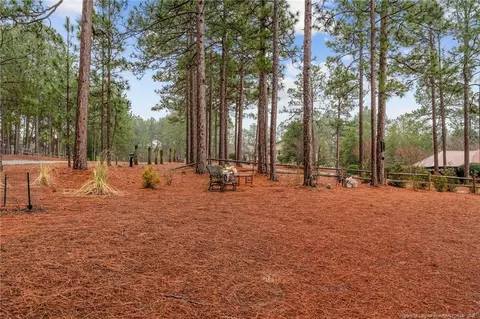 2 Burning Tree Pl, Jackson Springs, NC 27281 photo 45