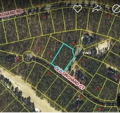 15 Pinedale Ct, Wagram, NC 28396