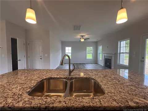 Other - 4736 Mastercraft Ct, Wade, NC 28395 photo 3 of 5