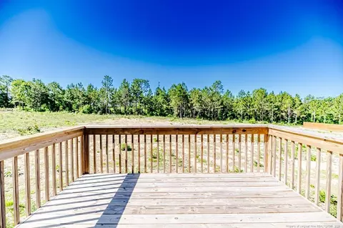 932 Allstar Ave, Cameron, NC 28326 photo 30