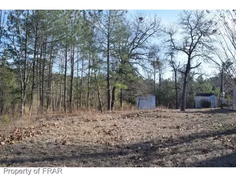 Exterior - 975 Line Rd, Cameron, NC 28326 photo 3 of 5
