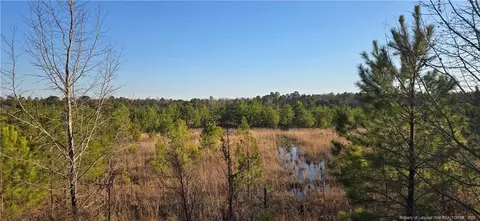 03 Josey Williams Rd, Erwin, NC 28339