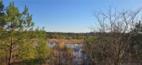 03 Josey Williams Rd, Erwin, NC 28339 photo 3