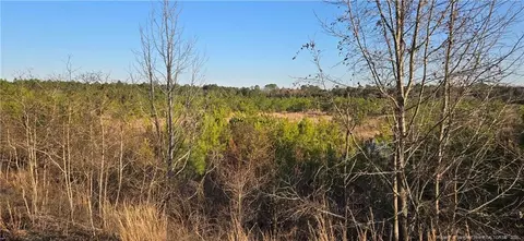 03 Josey Williams Rd, Erwin, NC 28339 photo 2