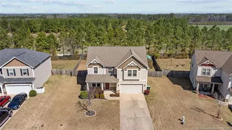 View/Area - 251 Crane Way, Bunnlevel, NC 28323 photo 1 of 4