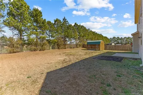 Exterior - 251 Crane Way, Bunnlevel, NC 28323 photo 7 of 12