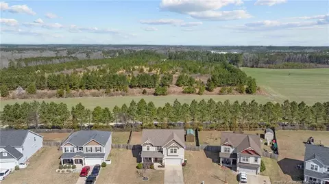 View/Area - 251 Crane Way, Bunnlevel, NC 28323 photo 2 of 4