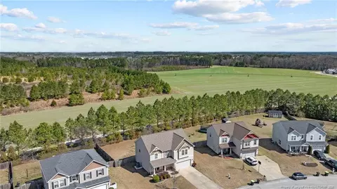 View/Area - 251 Crane Way, Bunnlevel, NC 28323 photo 3 of 4
