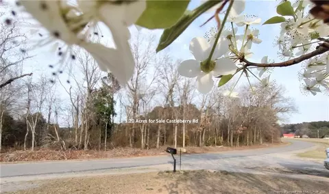 lot7 Castleberry Rd, Sanford, NC 27332