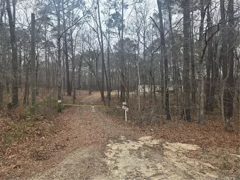 273 Thames Ave, Lillington, NC 27546