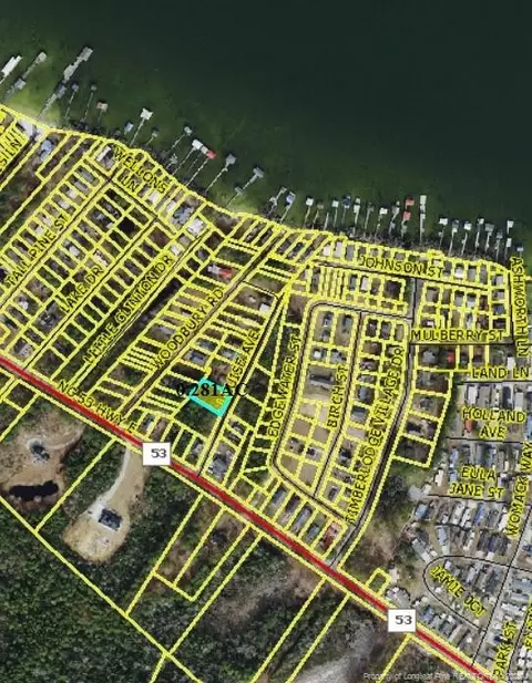 Louise Avenue, Elizabethtown, NC 28337