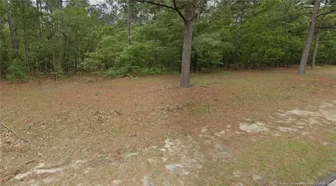 29 Peach Orchard Rd, Wagram, NC 28396
