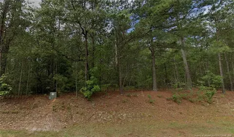33 Peach Orchard Rd, Wagram, NC 28396