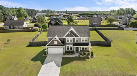 View/Area - 264 Mill Ridge Ct, Godwin, NC 28344 photo 5 of 5