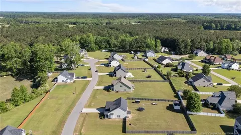 View/Area - 264 Mill Ridge Ct, Godwin, NC 28344 photo 3 of 5