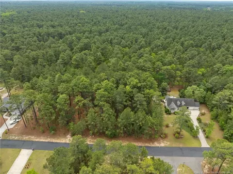 36 Wildlife Ln, Wagram, NC 28396