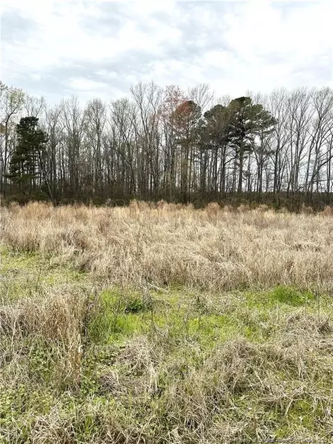 473 Costner Rd, Lumber Bridge, NC 28357 photo 4