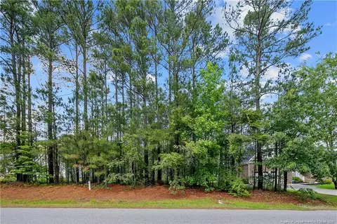 255 Barons Run W, Spring Lake, NC 28390