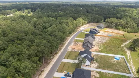 225 Persimmon Tree Dr, Cameron, NC 28326 photo 5