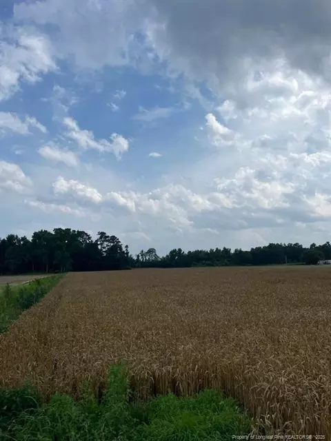 Nc Hwy 55, Dunn, NC 28334