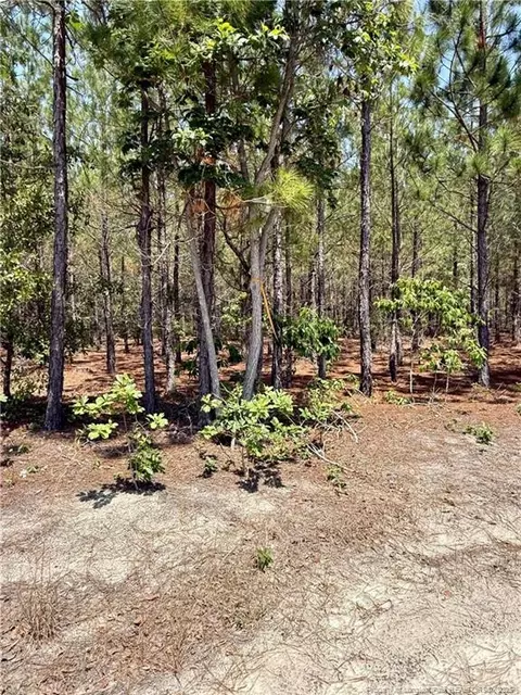 tbd 2 North Turnpike Rd, Wagram, NC 28396