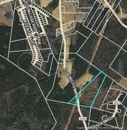 0000 Covington Rd, Bunnlevel, NC 28323 photo 4
