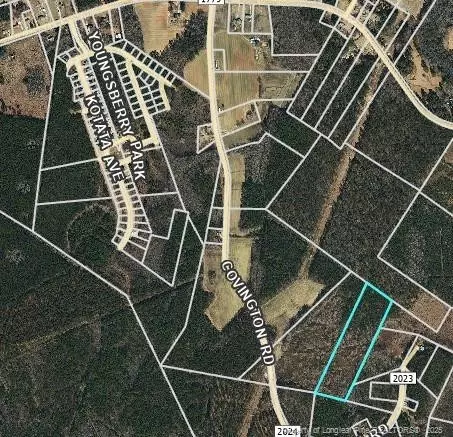 0000 Covington Rd, Bunnlevel, NC 28323 photo 3