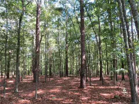 0 Rocky Fork Church Rd, Sanford, NC 27332