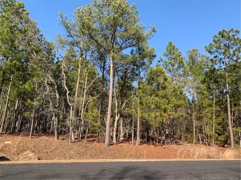 1124 Chicken Plant Rd, Aberdeen, NC 28315