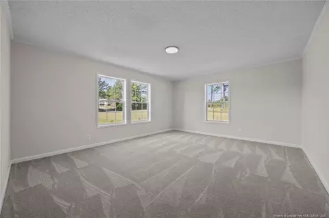 Other - 1271 Nutgrass Rd, Bunnlevel, NC 28323 photo 5 of 8