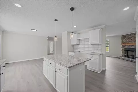 Other - 1271 Nutgrass Rd, Bunnlevel, NC 28323 photo 4 of 8
