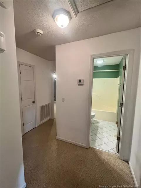 Entry Way - 166 Clyde Ln, Cameron, NC 28326 photo 3 of 4
