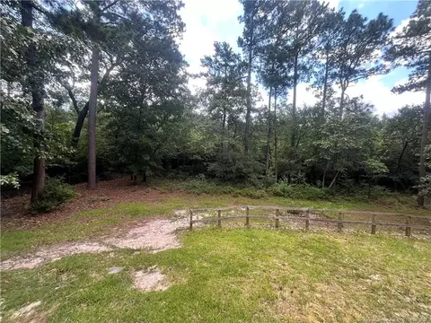 Exterior - 166 Clyde Ln, Cameron, NC 28326 photo 9 of 9