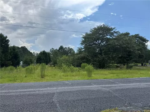 185 Mccoy Rd, Hoffman, NC 28347 photo 6