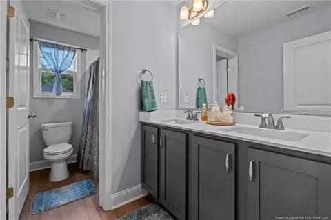 Entry Way - 125 Solomon Dr, Cameron, NC 28326 photo 5 of 7