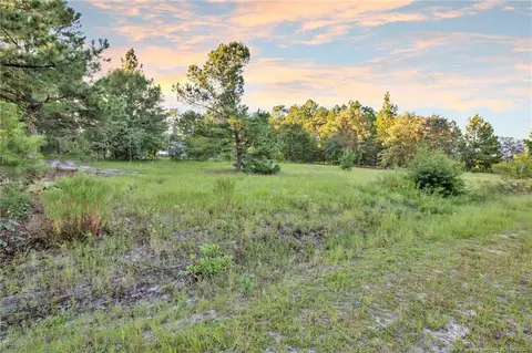 234 Brower Rd, Cameron, NC 28326 photo 14