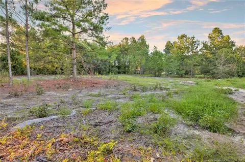 234 Brower Rd, Cameron, NC 28326