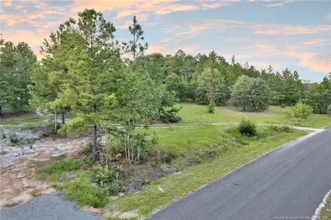234 Brower Rd, Cameron, NC 28326 photo 3