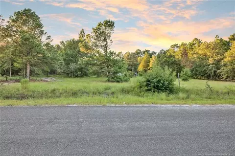 234 Brower Rd, Cameron, NC 28326 photo 2