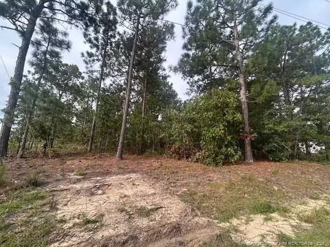 1218 1233 Loop Rd, Raeford, NC 28376
