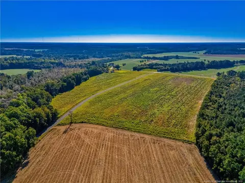 lot3 Daniel Mcleod Rd, Red Springs, NC 28377
