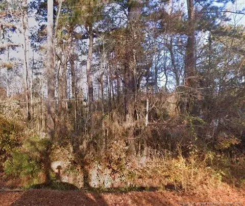 N Webb Street, Selma, NC 27576