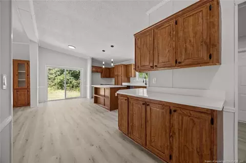 2266 Byrds Pond Rd, Erwin, NC 28339 photo 9