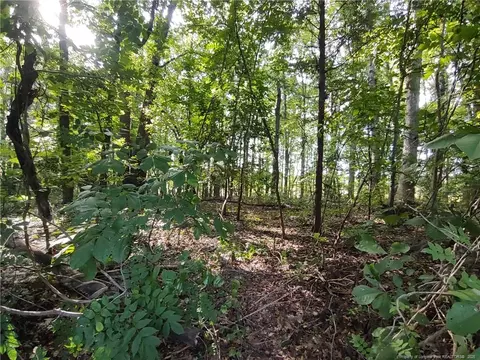 lot8 Lemon Springs Rd, Sanford, NC 27332