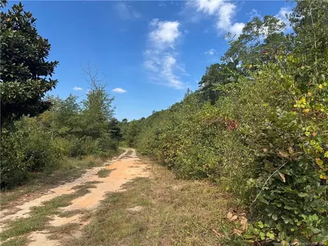 909 Wiregrass Rd, Hamlet, NC 28345 photo 6
