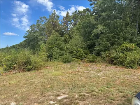 909 Wiregrass Rd, Hamlet, NC 28345 photo 2