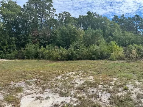 909 Wiregrass Rd, Hamlet, NC 28345 photo 4