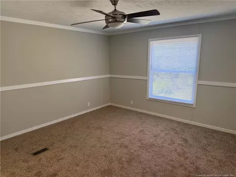 909 Wiregrass Rd, Hamlet, NC 28345 photo 10