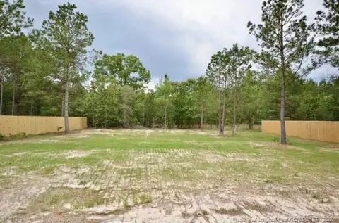 Exterior - 2885 Lemuel Black Rd, Bunnlevel, NC 28323 photo 2 of 3