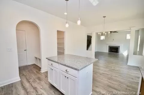 Entry Way - 2885 Lemuel Black Rd, Bunnlevel, NC 28323 photo 6 of 7
